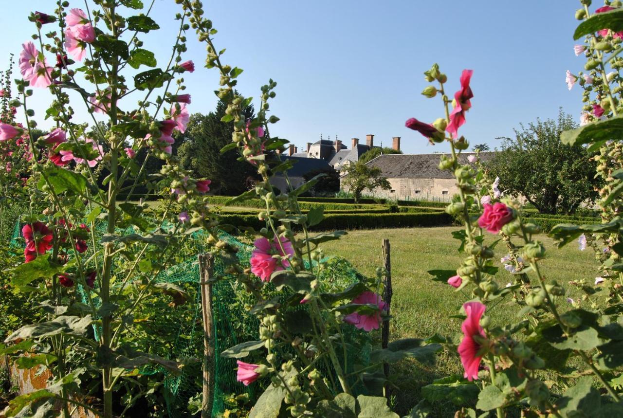 Chateau La Touanne Loire Valley Baccon Exterior photo