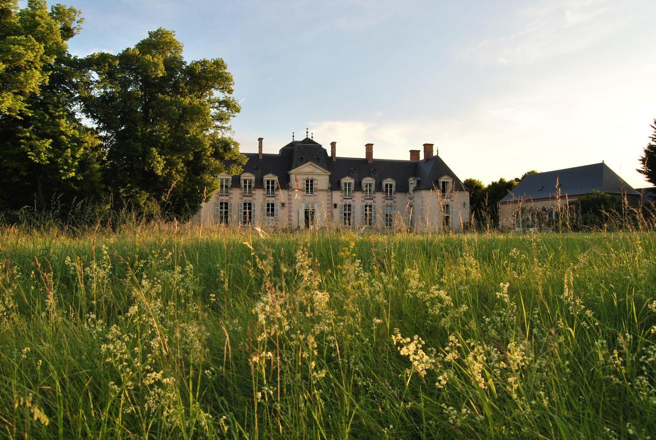 Chateau La Touanne Loire Valley Baccon Exterior photo