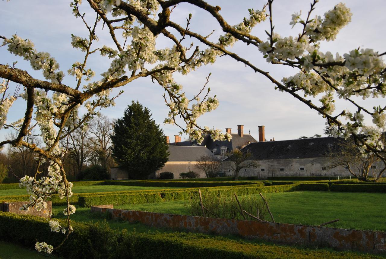 Chateau La Touanne Loire Valley Baccon Exterior photo