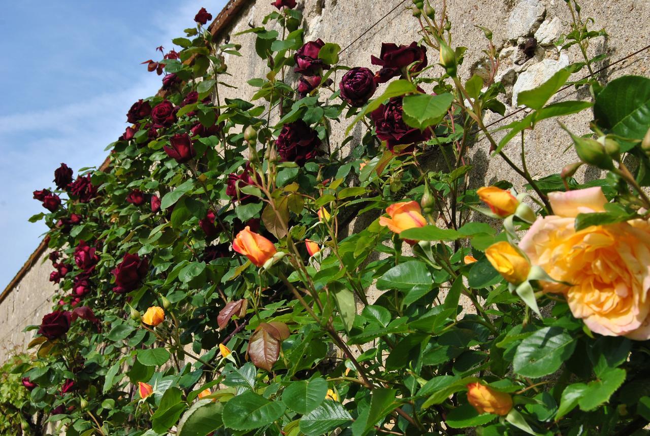 Chateau La Touanne Loire Valley Baccon Exterior photo
