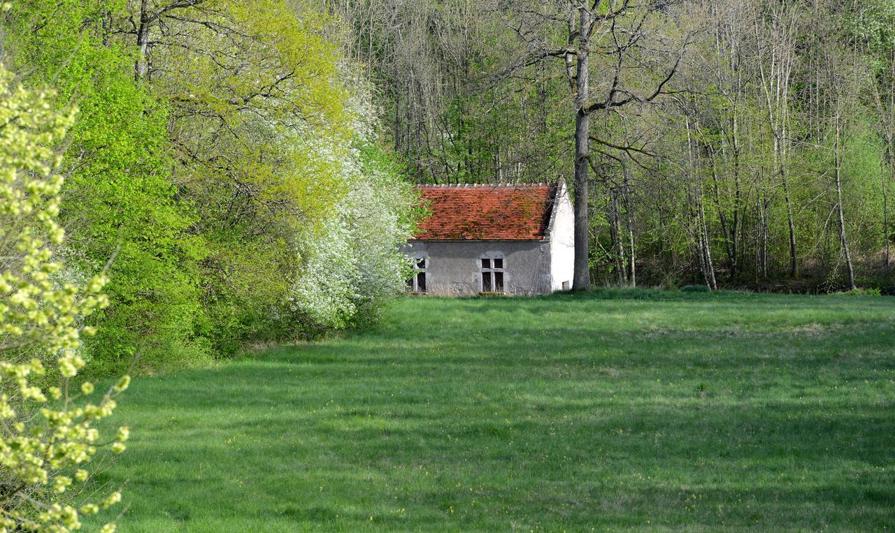 Chateau La Touanne Loire Valley Baccon Exterior photo